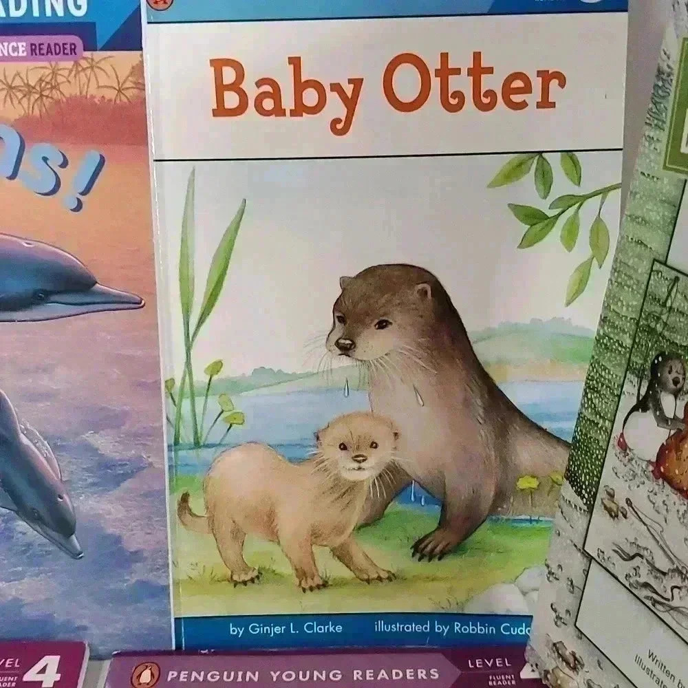 Books - Picture 7 of 7
